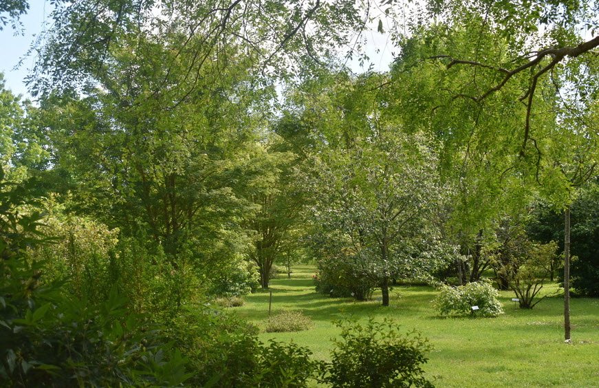 Association Des Amis de L'arboretum Adeline, La Chapelle-Montlinard, France, France